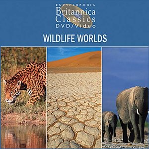 cover image of Wildlife Worlds: Part 4 of 5